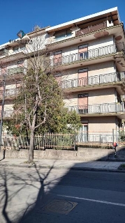 zoom immagine (Appartamento 141 mq, soggiorno, 4 camere, zona Ramacca)