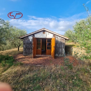 zoom immagine (Casa singola 46 mq, 1 camera, zona San Pancrazio)