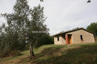 zoom immagine (Casa singola 100 mq, zona Monte San Savino)