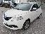 LANCIA Ypsilon 1.2 69 CV 5p. Gold