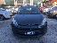 FORD Fiesta+ 1.2 82 CV 5p.