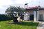 Villa 290 mq, soggiorno, 3 camere, zona Sambughè