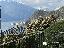 Appartamento in Vendita a Varenna