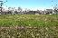 Terreno 12614 mq
