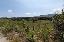Terreno 10682 mq