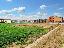 Terreno 5900 mq