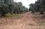 Terreno 6800 mq