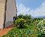 Villa in Vendita a Villanova d'Albenga