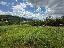 Terreno 2500 mq, zona Caprino Veronese
