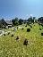 Appartamento 100 mq, soggiorno, 3 camere, zona Asiago