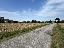 Terreno 5400 mq, zona Torreglia