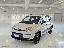 FIAT Panda 1.3 MJT 95 CV S&S 4x4