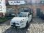 FIAT Punto 1.2 8V 5p. Lounge