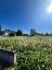 Terreno 600 mq, zona San Giusto Canavese