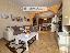 Appartamento 100 mq, 2 camere, zona Borgo Milano