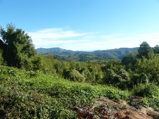 zoom immagine (Terreno 1700 mq, zona Badia Calavena)