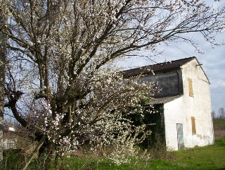 zoom immagine (Rustico, soggiorno, zona Piacenza d'Adige)