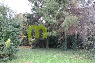 zoom immagine (Casa singola 200 mq, soggiorno, 4 camere, zona San Martino di Lupari - Centro)
