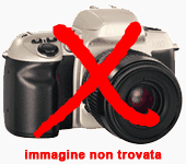 zoom immagine (Rustico 13700 mq, zona Rovereto)