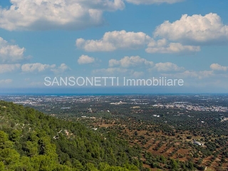 zoom immagine (Attico 70 mq, zona Selva di Fasano)