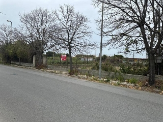 zoom immagine (Terreno 1760 mq, zona Milazzo)