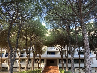 zoom immagine (Appartamento 100 mq, soggiorno, 3 camere, zona Lignano Sabbiadoro)
