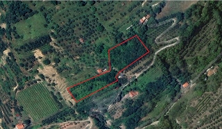 zoom immagine (Terreno 8000 mq, zona Fognano)