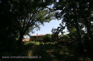 zoom immagine (Rustico, zona Cortona)