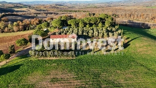 zoom immagine (Rustico 1000 mq, soggiorno, più di 3 camere, zona Capalbio)