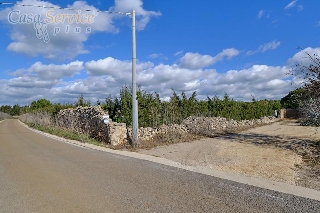 zoom immagine (Terreno 15500 mq, zona Gallipoli)